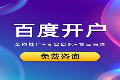 搜索引擎竞价推广实战：行业领先企业的成功秘诀